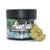 Xeno strain