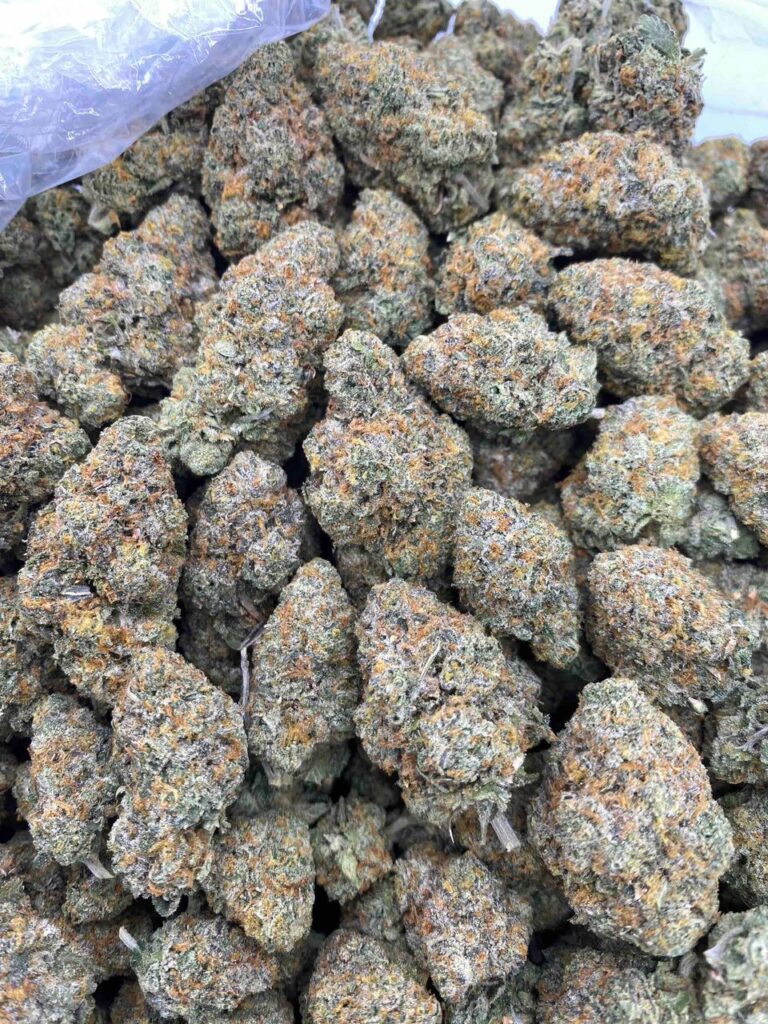 Explore the Candy Crushers cannabis strain, known in legal markets for its sweet candy-like aroma, colorful buds, and balanced hybrid profile. Learn about its flavor notes, terpene structure, and commonly reported characteristics.