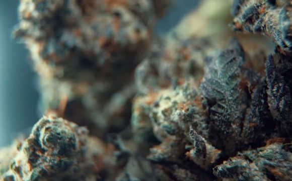 photo_2025-10-23_00-07-36